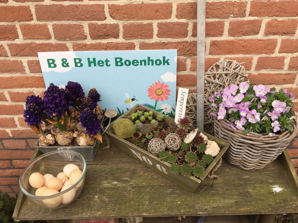 مبيت وإفطار Lekkerkerk Het Boenhok Logies المظهر الخارجي الصورة